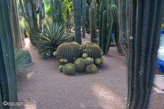 Jardin Majorelle